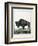 Le Bison Illustration-null-Framed Giclee Print