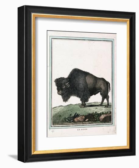 Le Bison Illustration-null-Framed Giclee Print