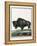 Le Bison Illustration-null-Framed Premier Image Canvas