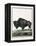 Le Bison Illustration-null-Framed Premier Image Canvas