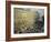 Le Boulevard Des Capucines, 1873-Claude Monet-Framed Giclee Print