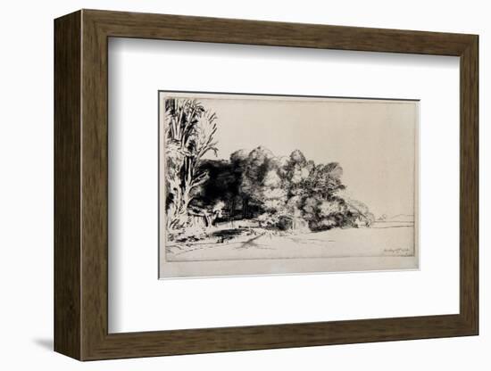 Le Bouquet de Bois (B222)-Amand Durand-Framed Collectable Print