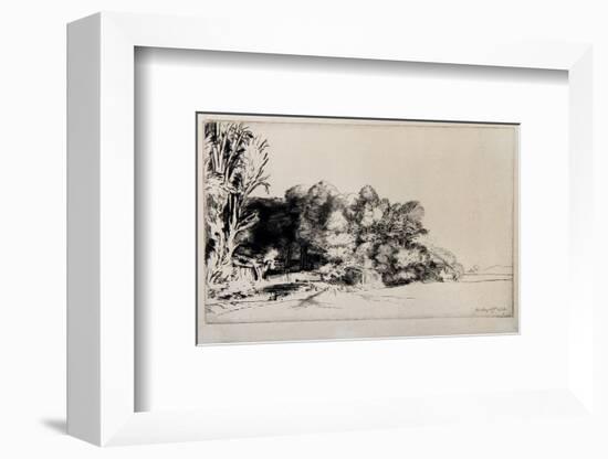 Le Bouquet de Bois (B222)-Amand Durand-Framed Collectable Print