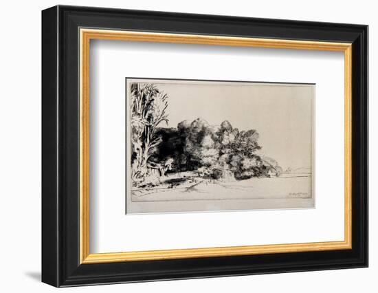 Le Bouquet de Bois (B222)-Amand Durand-Framed Collectable Print