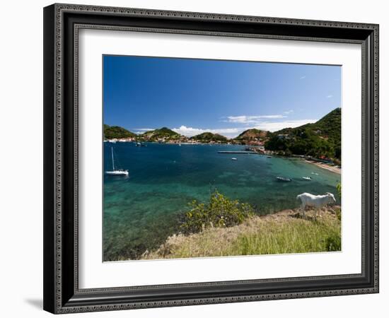 Le Bourg, Iles Des Saintes, Terre de Haut, Guadeloupe, French Caribbean, France, West Indies-Sergio Pitamitz-Framed Photographic Print