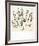 Le Buisson-Henri Matisse-Framed Art Print