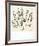 Le Buisson-Henri Matisse-Framed Art Print