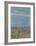 Le Cannet Near Nice-Pierre Bonnard-Framed Collectable Print