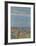 Le Cannet Near Nice-Pierre Bonnard-Framed Collectable Print