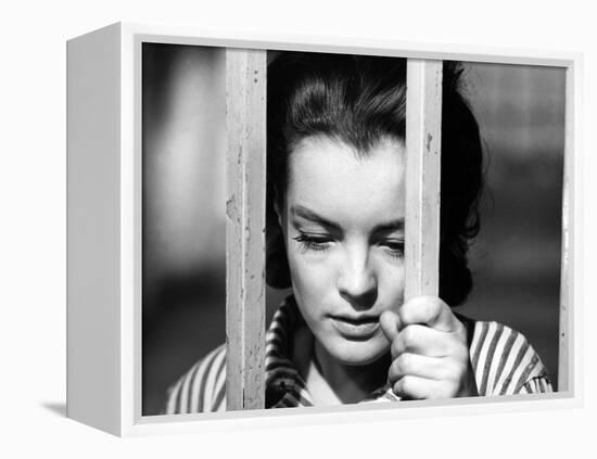 Le Cardinal THE CARDINAL by Otto Preminger with Romy Schneider, 1963 (b/w photo)-null-Framed Stretched Canvas