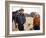 Le Cavalier electrique THE ELECTRIC HORSEMAN by SydneyPollack with Robert Redford and Jane Fonda, 1-null-Framed Photo