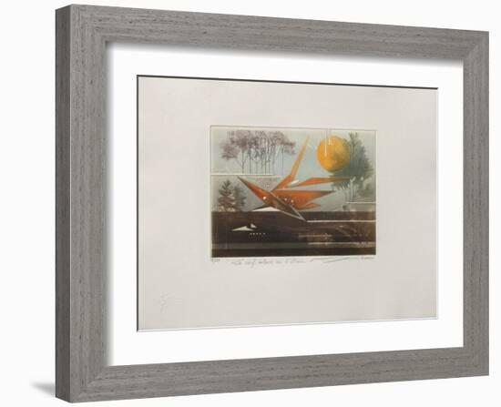 Le Cerf-Volant De L'Illusion-null-Framed Limited Edition