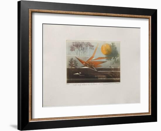 Le Cerf-Volant De L'Illusion-null-Framed Limited Edition