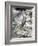 Le ch? et le roseau-Gustave Moreau-Framed Giclee Print