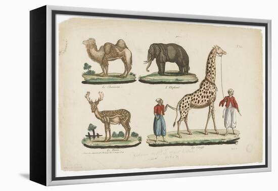 Le chameau, l'éléphant, le daim, la girafe-null-Framed Premier Image Canvas