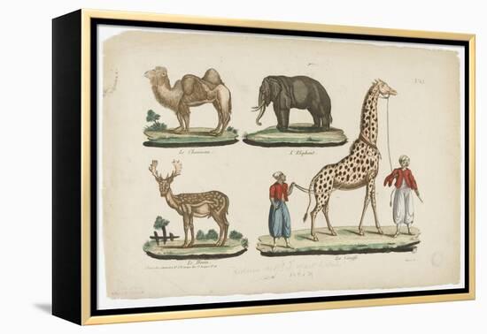 Le chameau, l'éléphant, le daim, la girafe-null-Framed Premier Image Canvas