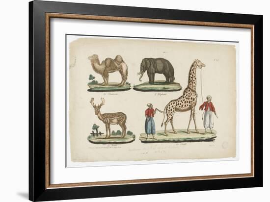 Le chameau, l'éléphant, le daim, la girafe-null-Framed Giclee Print