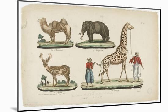 Le chameau, l'éléphant, le daim, la girafe-null-Mounted Giclee Print