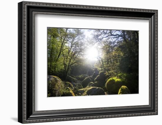 Le Chaos De Huelgoat En Breatgne-Philippe Manguin-Framed Photographic Print