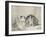 Le chat couché-null-Framed Giclee Print