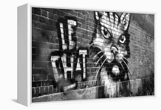 Le Chat Graffiti-null-Framed Stretched Canvas