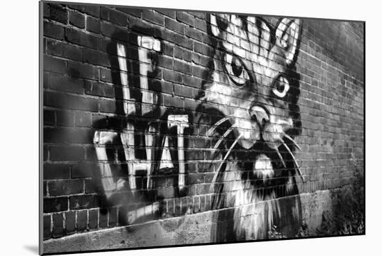 Le Chat Graffiti-null-Mounted Photo