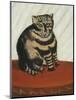 Le Chat Tigre-Henri Rousseau-Mounted Premium Giclee Print