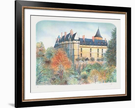 Le château de Chateaudun-Rolf Rafflewski-Framed Collectable Print