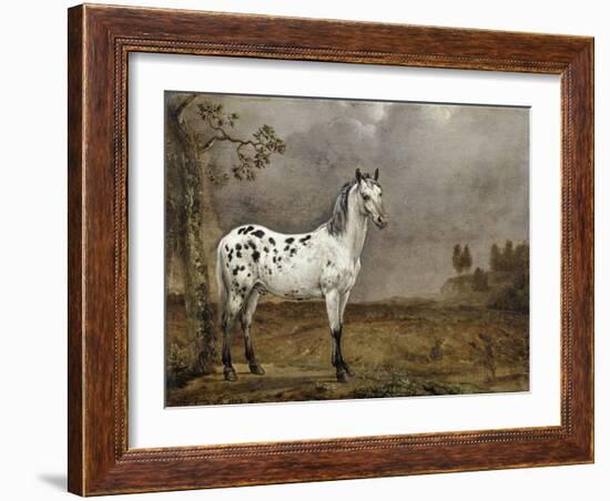 Le Cheval pie-Paulus Potter-Framed Giclee Print