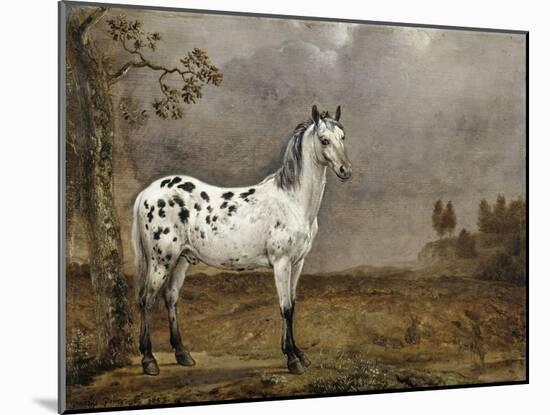 Le Cheval pie-Paulus Potter-Mounted Giclee Print