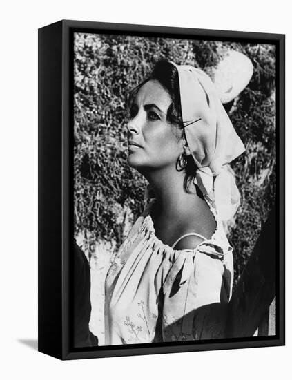 Le Chevalier des Sables THE SANDPIPER by Vincente Minnelli with Elizabeth Taylor, 1965 (b/w photo)-null-Framed Stretched Canvas