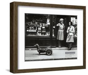 Le Chien a Roulettes, c.1977-Robert Doisneau-Framed Art Print