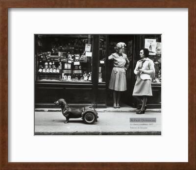Le Chien A Roulettes C 1977 Art Print Robert Doisneau Art Com Le Chien A Roulettes C 1977 Art Print Robert Doisneau Art Com