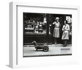 Le Chien a Roulettes, c.1977-Robert Doisneau-Framed Art Print