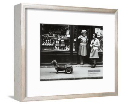 Le Chien A Roulettes C 1977 Art Print Robert Doisneau Art Com Le Chien A Roulettes C 1977 Art Print Robert Doisneau Art Com