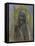 Le Christ du silence-Odilon Redon-Framed Premier Image Canvas