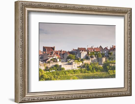 Le Clos Vineyard Below the Hilltop Village of Vezelay in Burgundy, France, Europe-Julian Elliott-Framed Photographic Print