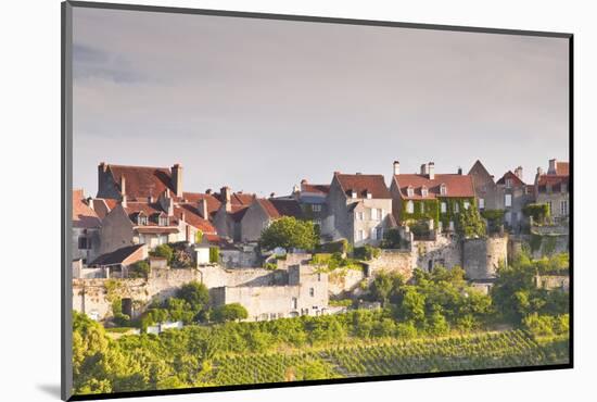 Le Clos Vineyard Below the Hilltop Village of Vezelay in Burgundy, France, Europe-Julian Elliott-Mounted Photographic Print
