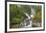 Le Conte Glacier area, Southernmost Tidewater glacier in United States, near Petersburg, Alaska, In-Stuart Westmorland-Framed Photographic Print