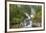 Le Conte Glacier area, Southernmost Tidewater glacier in United States, near Petersburg, Alaska, In-Stuart Westmorland-Framed Photographic Print