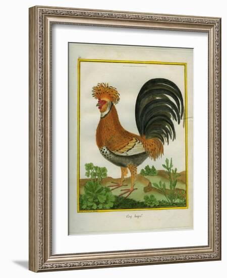 Le Coq Huppé-Georges-Louis Buffon-Framed Giclee Print