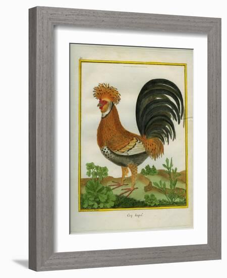 Le Coq Huppé-Georges-Louis Buffon-Framed Giclee Print