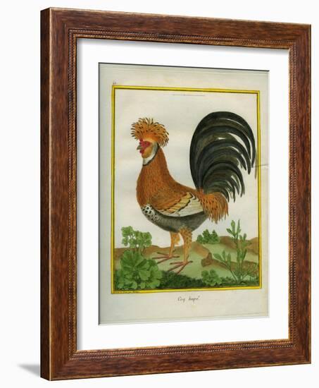 Le Coq Huppé-Georges-Louis Buffon-Framed Giclee Print