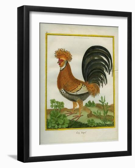 Le Coq Huppé-Georges-Louis Buffon-Framed Giclee Print