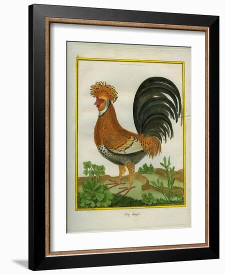 Le Coq Huppé-Georges-Louis Buffon-Framed Giclee Print