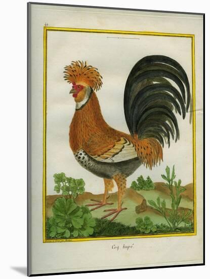 Le Coq Huppé-Georges-Louis Buffon-Mounted Giclee Print