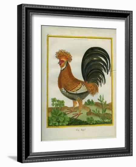 Le Coq Huppé-Georges-Louis Buffon-Framed Giclee Print