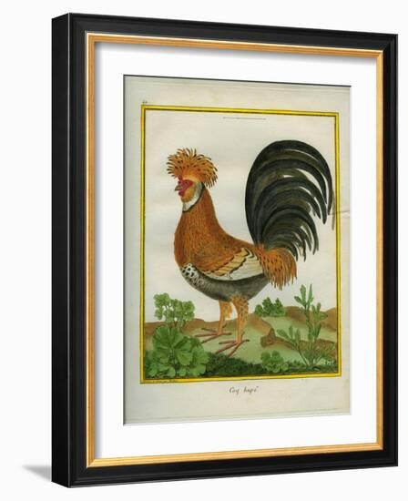 Le Coq Huppé-Georges-Louis Buffon-Framed Giclee Print