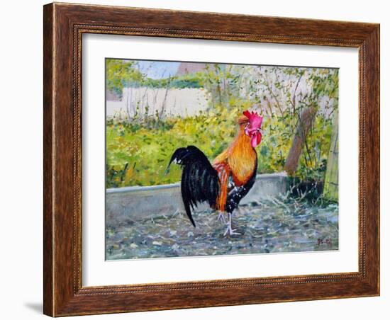 Le Coq Lico, 2003-Michel Bultet-Framed Giclee Print