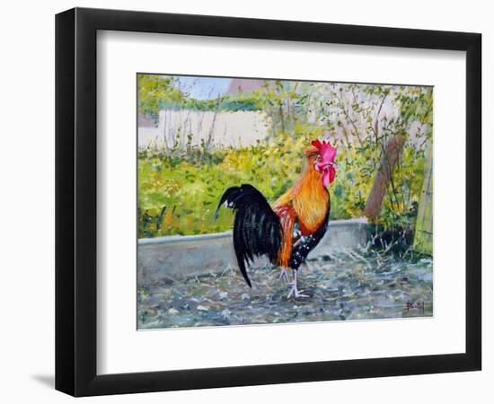 Le Coq Lico, 2003-Michel Bultet-Framed Giclee Print